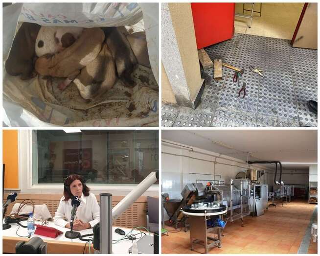 Imágenes de las noticias más leídas este viernes 13 de enero/TA.